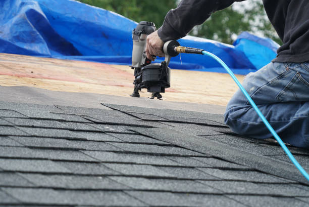 Best Roof Maintenance Services  in Fowler, MI