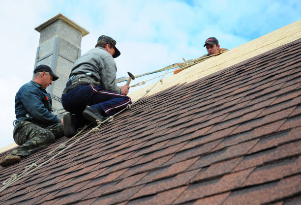 Best Roof Maintenance Services  in Fowler, MI
