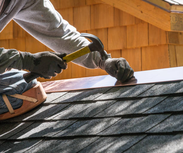 Best Roof Restoration Services  in Fowler, MI